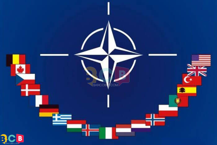 Tổ chức NATO là gì? có bao nhiêu nước tham gia